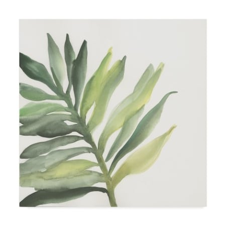 Chris Paschke 'Tropical Palm Iii' Canvas Art,35x35